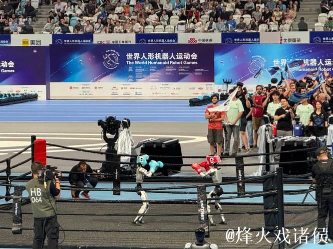 国内十大候选：首届世界人形机器人运动会成功举办